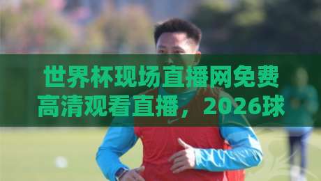 世界杯现场直播网免费高清观看直播,2026球迷必备的观赛指南来了!