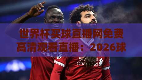 世界杯买球直播网免费高清观看直播:2026球迷的观赛新姿势,你get了吗?