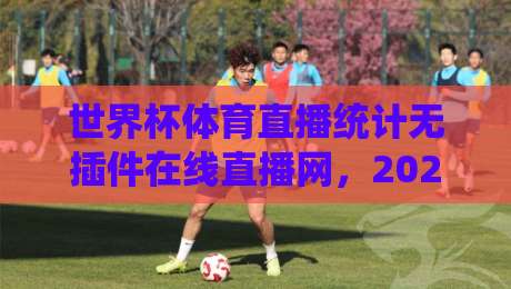 世界杯体育直播统计无插件在线直播网，2026观赛新姿势（内含真实数据）