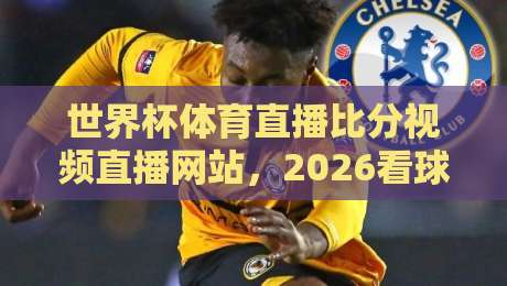 世界杯体育直播比分视频直播网站,2026看球别乱逛,这份实测指南请收好