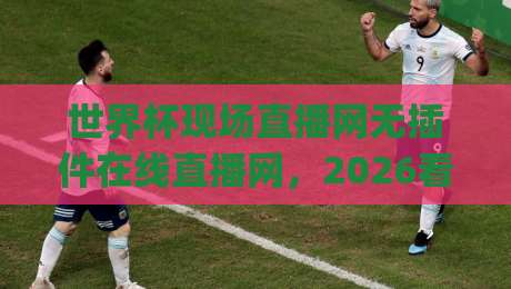 世界杯现场直播网无插件在线直播网,2026看球不折腾!(关键词)