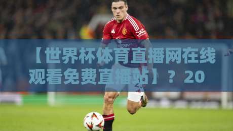 【世界杯体育直播网在线观看免费直播站】?2026年美加墨世界杯免费观看指南,这些避坑方法值得收藏!