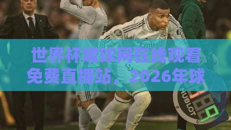 世界杯堵球网在线观看免费直播站，2026年球迷到底该怎么选？