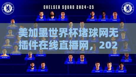 美加墨世界杯堵球网无插件在线直播网，2026球迷必备的观赛神器？