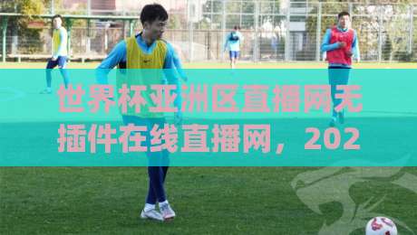 世界杯亚洲区直播网无插件在线直播网,2026年球迷看球新姿势,你get了吗?