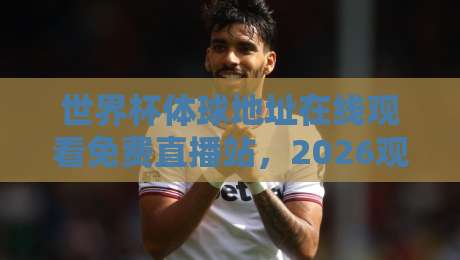 世界杯体球地址在线观看免费直播站，2026观赛新姿势！