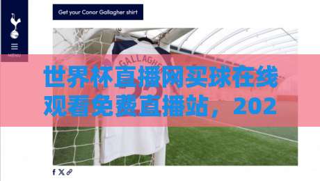 世界杯直播网买球在线观看免费直播站，2026观赛攻略与避坑指南