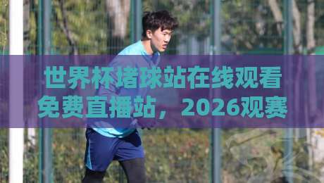 世界杯堵球站在线观看免费直播站，2026观赛指南与避坑手册