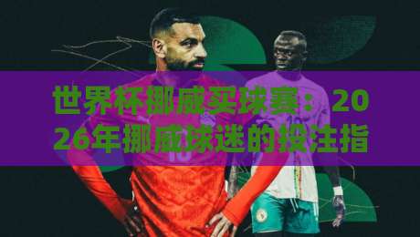 世界杯挪威买球赛：2026年挪威球迷的投注指南与观赛攻略