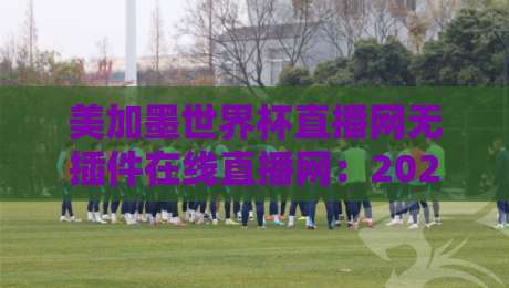 美加墨世界杯直播网无插件在线直播网：2026观赛避坑指南，老球迷都这么看
