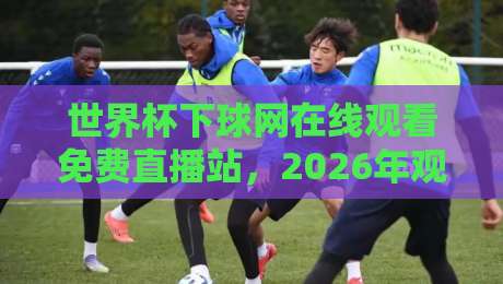 世界杯下球网在线观看免费直播站,2026年观赛避坑指南与真实体验分享