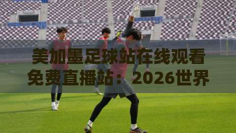 美加墨足球站在线观看免费直播站：2026世界杯观赛避坑指南与真实体验