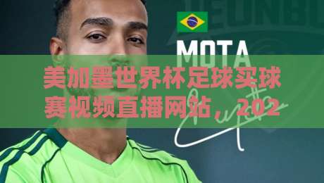 美加墨世界杯足球买球赛视频直播网站，2026年观赛避坑指南：老球迷亲测的5个真相