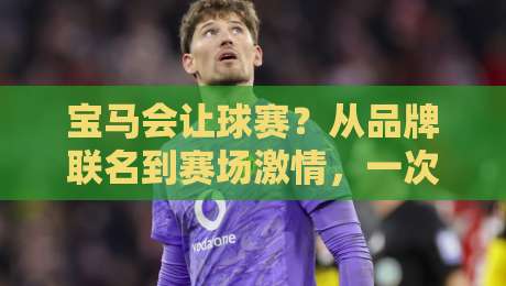 宝马会让球赛？从品牌联名到赛场激情，一次看懂宝马体育营销的底层逻辑-最全手机信誉下球网精彩片段流畅代理1080P官网无插件