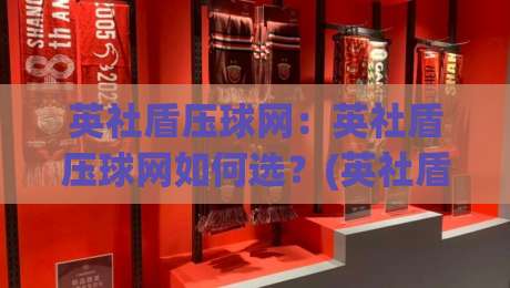 英社盾压球网:英社盾压球网如何选?(英社盾压球网)材质工艺与场景适配全拆解-最大权威网页投球站低水无需注册观看解说让球盘高清