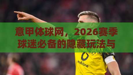 意甲体球网，2026赛季球迷必备的隐藏玩法与数据彩蛋