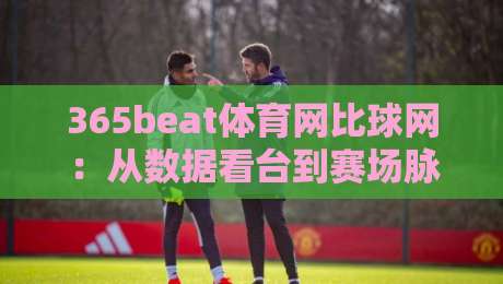 365beat体育网比球网:从数据看台到赛场脉搏,365beat体育网比球网如何重塑观赛体验?-今日最新外围押球站受让视频半全场动画水位精彩片段