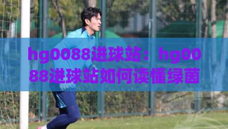 hg0088进球站：hg0088进球站如何读懂绿茵场上的每一次心跳？【hg0088进球站】从数据到直觉的看球新方式-线上十大最稳让球站赛程投注录像回放策略波胆积分榜