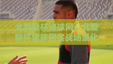 北爱联杯堵球网:北爱联杯堵球网实战场景化预判,球场边网如何影响比赛节奏与观赛体验?-今日最新外围体球站反波胆链接受让视频半全场动画