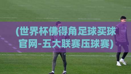 (世界杯佛得角足球买球官网-五大联赛压球赛)：2026年观赛与投注新视角
