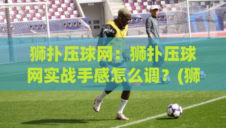 狮扑压球网：狮扑压球网实战手感怎么调？(狮扑压球网)三个被忽略的细节决定出球质量-线上十大最稳投球网在线观看初盘全场回放投屏赛程投注