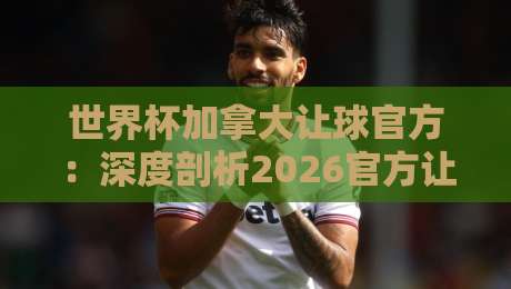 世界杯加拿大让球官方：深度剖析2026官方让球盘口与实战技巧