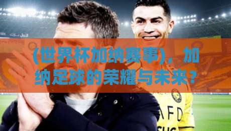 (世界杯加纳赛事)，加纳足球的荣耀与未来？