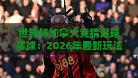 世界杯加拿大竞猜足球买球：2026年最新玩法与避坑指南