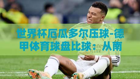 世界杯厄瓜多尔压球-德甲体育球盘比球：从南美预选赛到德甲联赛的盘口逻辑全解析