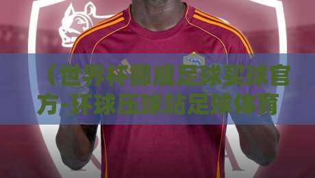 （世界杯挪威足球买球官方-环球压球站足球体育）！2026年挪威队世界杯前景深度解析