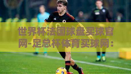 世界杯法国球盘买球官网-足总杯体育买球网：2026年你必须知道的五大投注技巧与平台对比