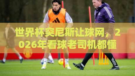 世界杯突尼斯让球网，2026年看球老司机都懂的门道