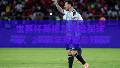 世界杯英格兰球盘买球站，2026年球迷必知的靠谱渠道与避坑指南