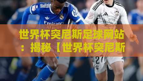 世界杯突尼斯足球网站：揭秘【世界杯突尼斯足球网站】如何成为2026年球迷必备神器