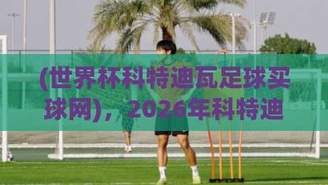 (世界杯科特迪瓦足球买球网)，2026年科特迪瓦国家队表现与合法购彩指南