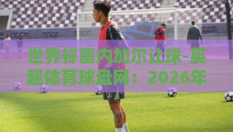 世界杯塞内加尔让球-英超体育球盘网：2026年世预赛非洲区盘口深度解析（世界杯塞内加尔让球）与平台选择指南