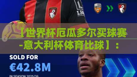 【世界杯厄瓜多尔买球赛-意大利杯体育比球】:2026年足球盛宴,抢票与观赛全攻略 【世界杯厄瓜多尔买球赛-意大利杯体育比球】:2026年足球盛宴,抢票与观赛全攻略