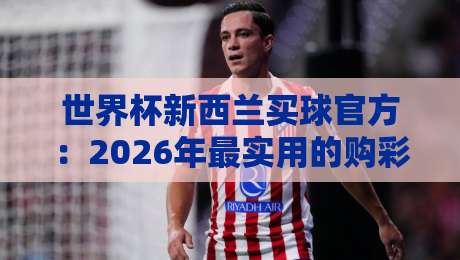 世界杯新西兰买球官方：2026年最实用的购彩指南与避坑秘籍
