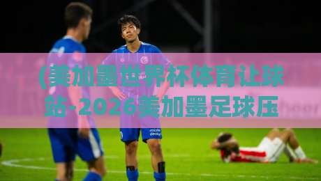 (美加墨世界杯体育让球站-2026美加墨足球压球赛):2026年美加墨世界杯让球盘口深度解析与实战投注策略全攻略——从小组赛到决赛,老司机教你如何玩转让球站 (美加墨世界杯体育让球站-2026美加墨足球压球赛):2026年美加墨世界杯让球盘口深度解析与实战投注策略全攻略——从小组赛到决赛,老司机教你如何玩转让球站