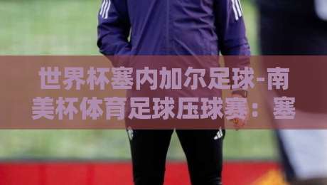 世界杯塞内加尔足球-南美杯体育足球压球赛:塞内加尔球星搅动南美赛场,2026投注新玩法(世界杯塞内加尔足球-南美杯体育足球压球赛) 世界杯塞内加尔足球-南美杯体育足球压球赛:塞内加尔球星搅动南美赛场,2026投注新玩法(世界杯塞内加尔足球-南美杯体育足球压球赛)