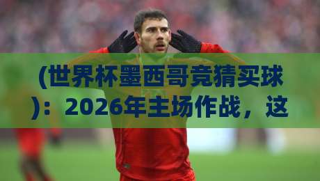 (世界杯墨西哥竞猜买球)：2026年主场作战，这些投注策略你未必知道